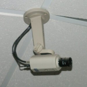 Outdoor security camera of the type that can be repurposed to monitor beehive entrance activity
