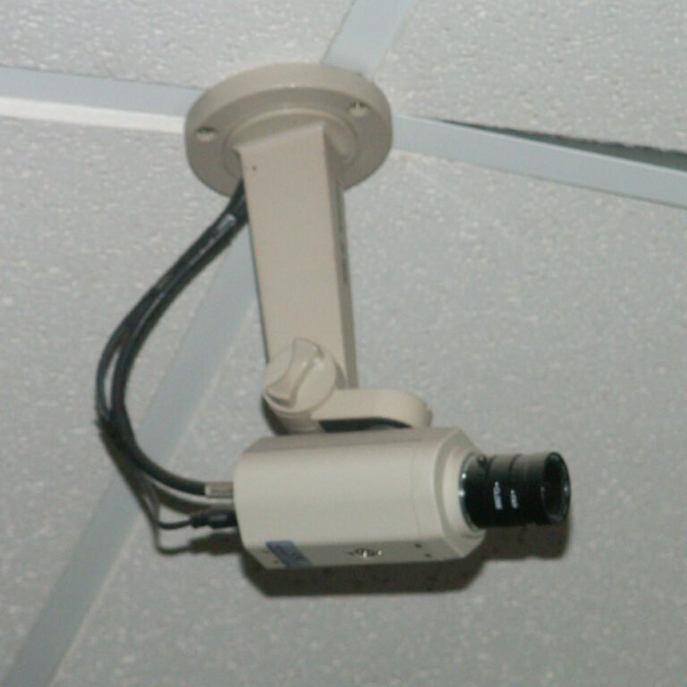 Outdoor security camera of the type that can be repurposed to monitor beehive entrance activity