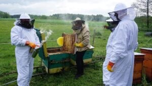 A beekeeping course in Poland