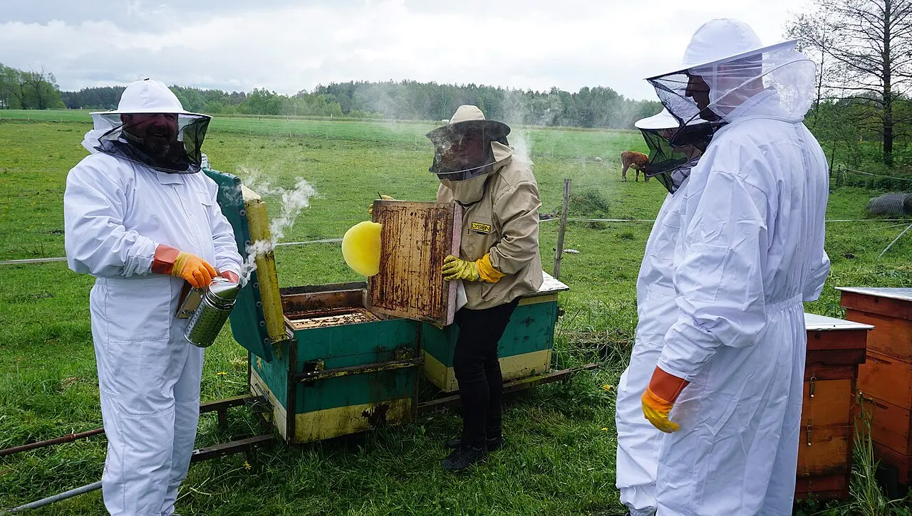 A beekeeping course in Poland