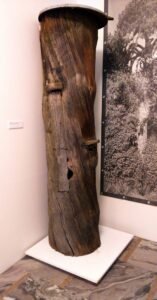 A traditional wooden log hive from the Kurpie region of Poland, used in the historic tree-beekeeping practice of bartnictwo