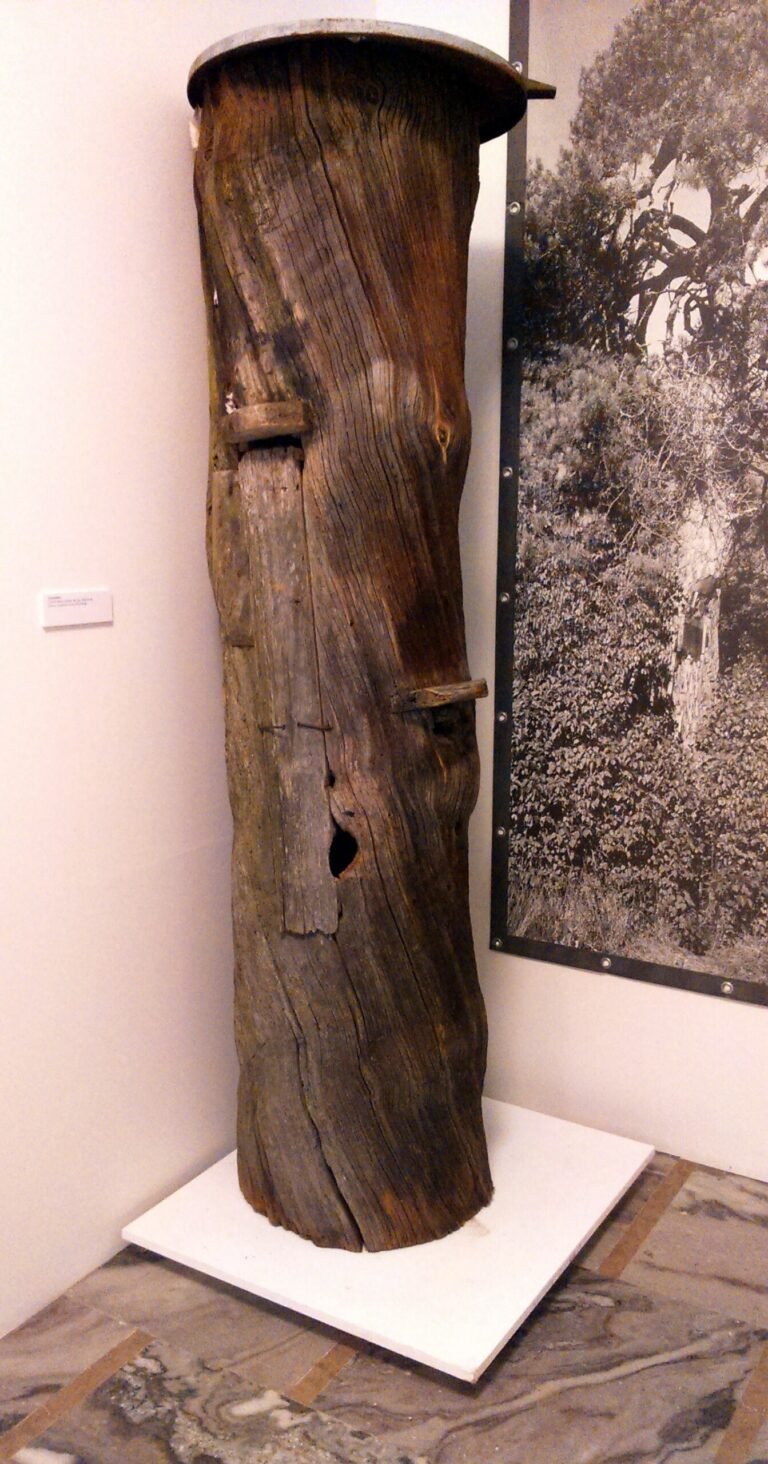 A traditional wooden log hive from the Kurpie region of Poland, used in the historic tree-beekeeping practice of bartnictwo