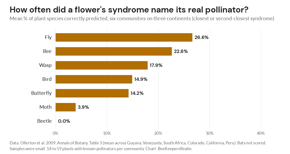 Bar chart of how often pollination syndromes predicted the real pollinator, from 26.6% for flies to 0% for beetles