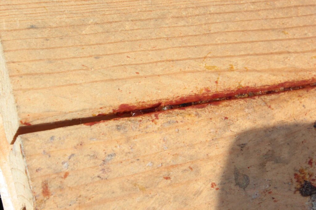 Close-up of propolis sealing a joint between hive boxes, a sign of active colony maintenance
