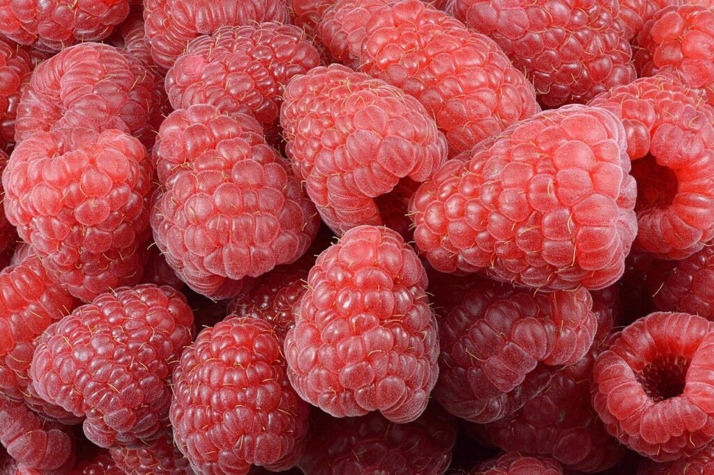 Fresh raspberries, a common fruit addition used to make a berry melomel, a fruited style of mead