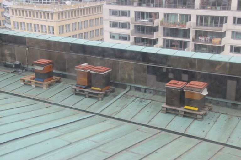 Several managed beehives arranged on a flat rooftop in a dense urban setting, illustrating the kind of low-conflict space airports also use for apiary programs