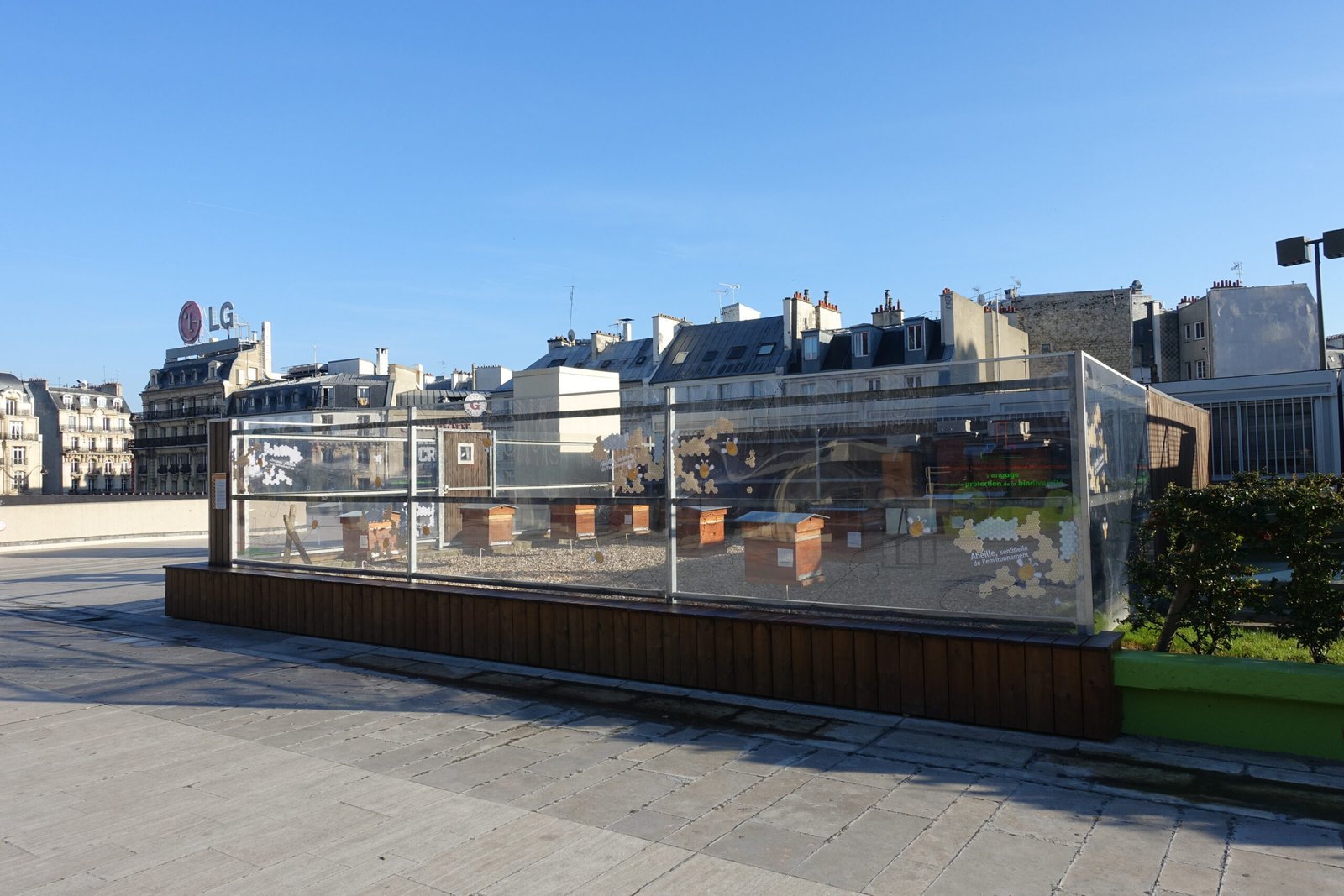 Rooftop beehives behind a glass enclosure atop a Paris building with city skyline