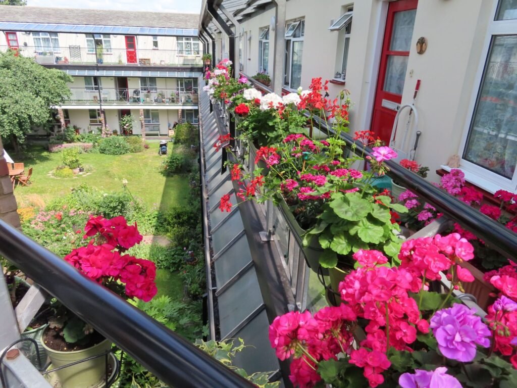 Colorful window box flowers mounted on a residential balcony railing in an urban setting