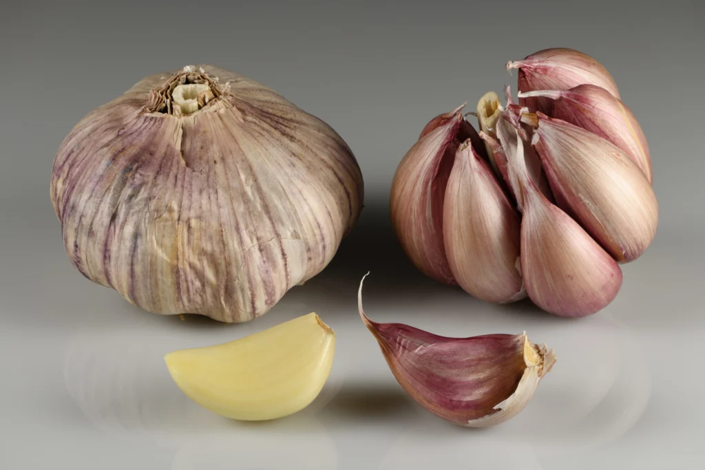 Fresh garlic bulbs and separated cloves, a high-moisture low-acid Category 3 honey infusion ingredient