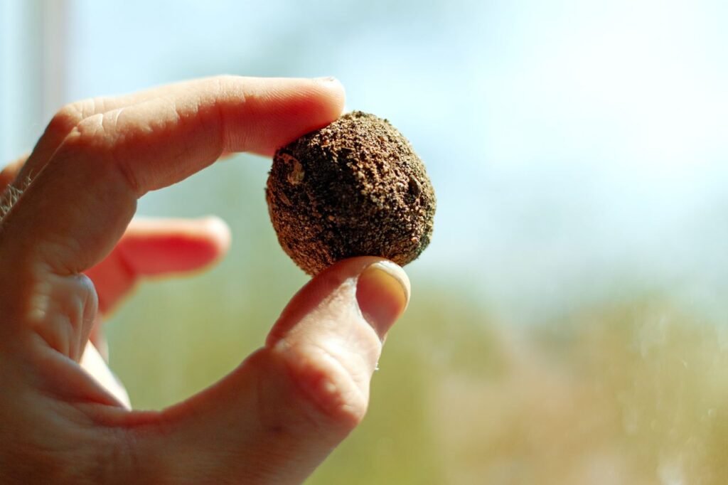 Close-up of a single dried clay and seed ball used for guerrilla gardening