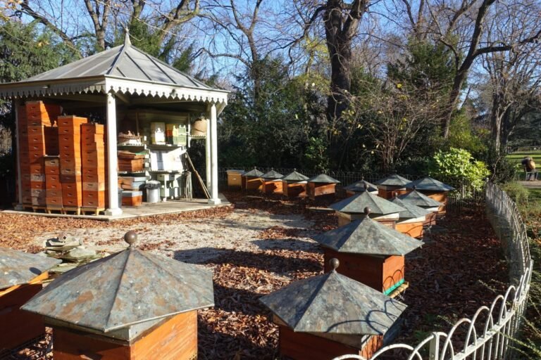 Ruches en bois installées dans le Jardin du Luxembourg à Paris, rucher-école historique
