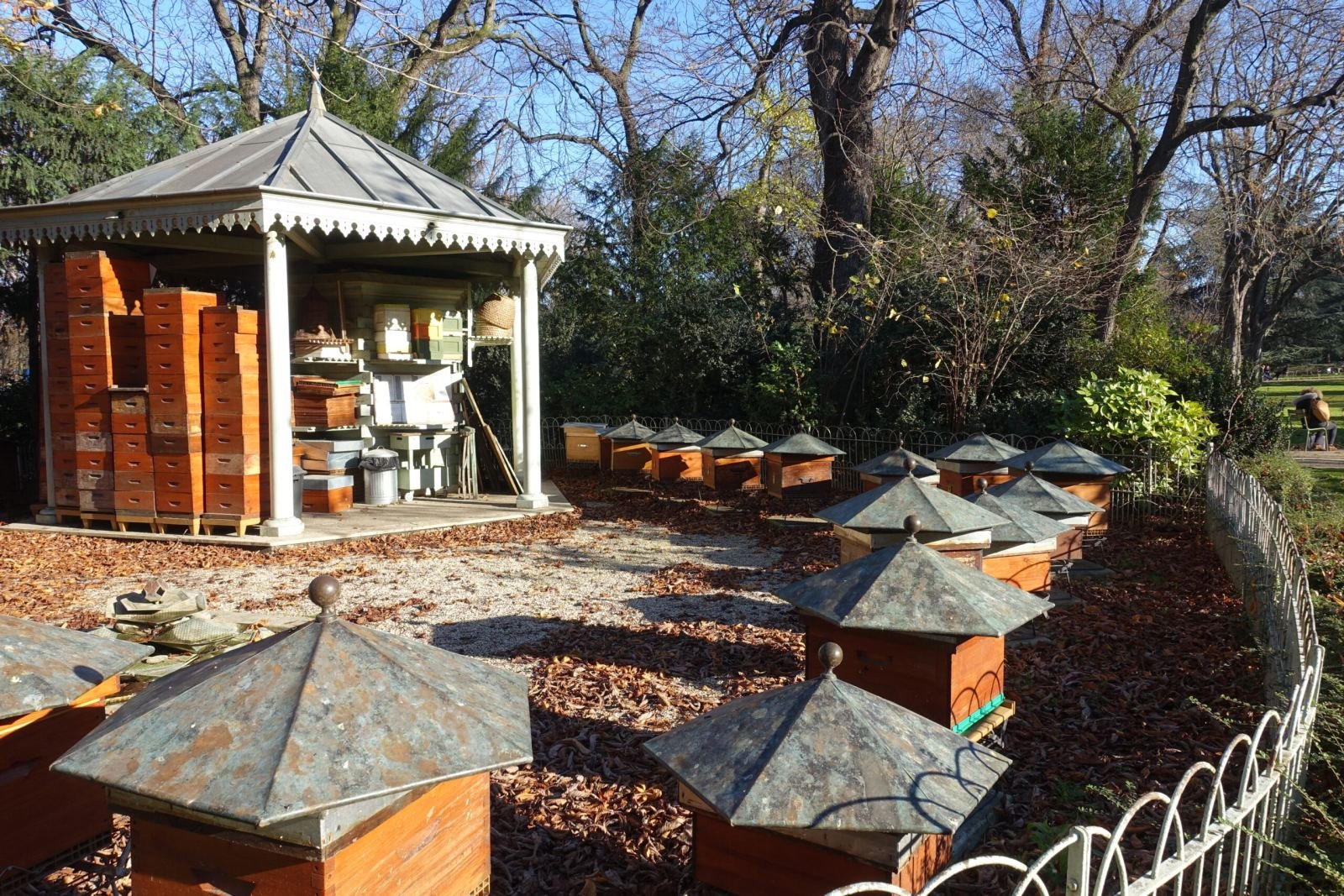 Ruches en bois installées dans le Jardin du Luxembourg à Paris, rucher-école historique
