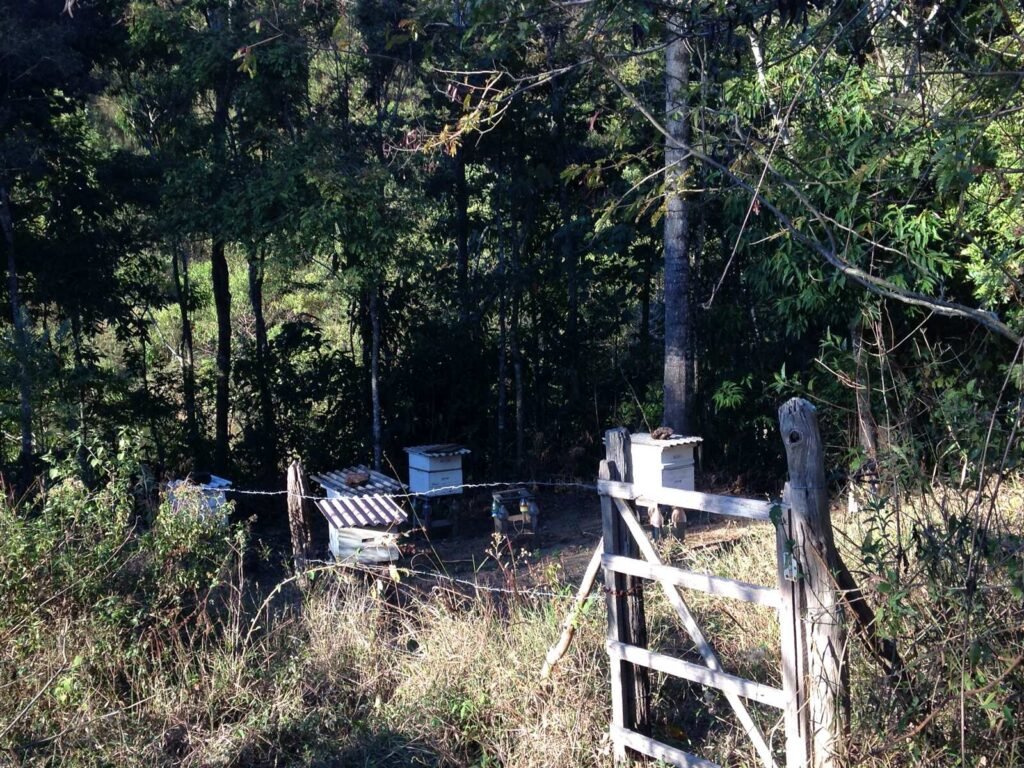 Rural apiary with several hive boxes set along a wooded fence line