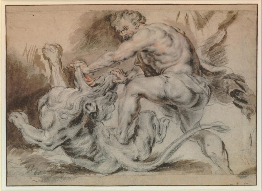 Samson and the Lion, a 17th-century drawing by Peter Paul Rubens depicting the biblical honey riddle story