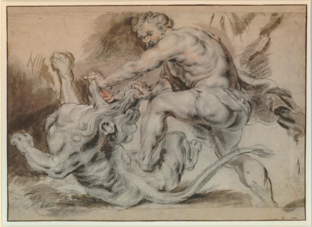 Samson and the Lion, a 17th-century drawing by Peter Paul Rubens depicting the biblical honey riddle story
