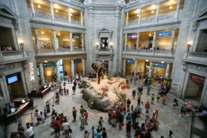 Grand marble rotunda interior of the Smithsonian National Museum of Natural History