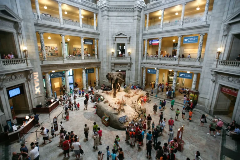 Grand marble rotunda interior of the Smithsonian National Museum of Natural History