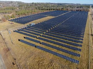 Aerial view of rows of solar panels installed across a grass field, the kind of site increasingly managed as pollinator habitat under agrivoltaics programs