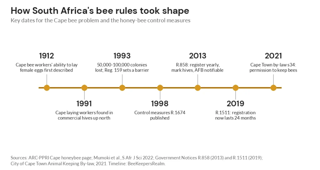 Timeline of South African bee rules from the 1912 Cape bee discovery to the 2019 registration change