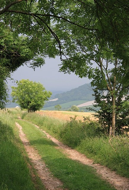 The South Downs Way in Sussex, the countryside Conan Doyle placed Holmes's retirement farm in