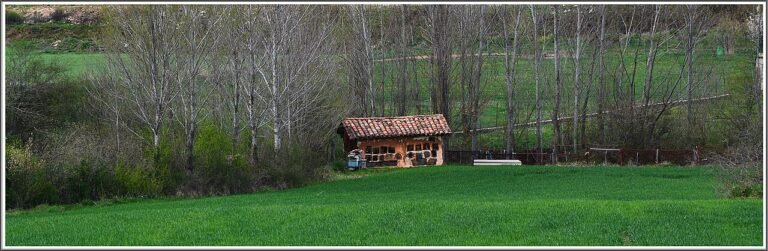 A colmenar (apiary) in Palencia, Spain