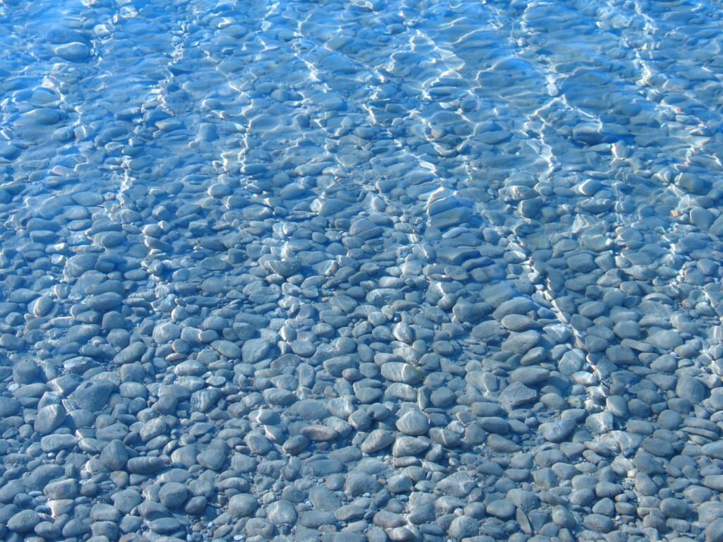 Smooth stones partially submerged in water, the kind of landing surface bees need to drink safely