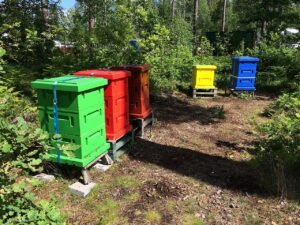 Beehives in Kalmar County, Sweden
