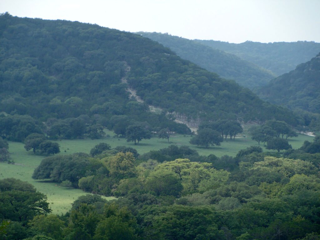 Texas Hill Country rural landscape, the kind of open acreage where county appraisal districts evaluate beekeeping-based agricultural valuation