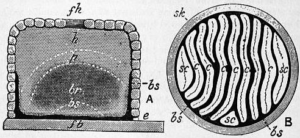 1911 encyclopedia illustration of a traditional straw skep beehive cross-section