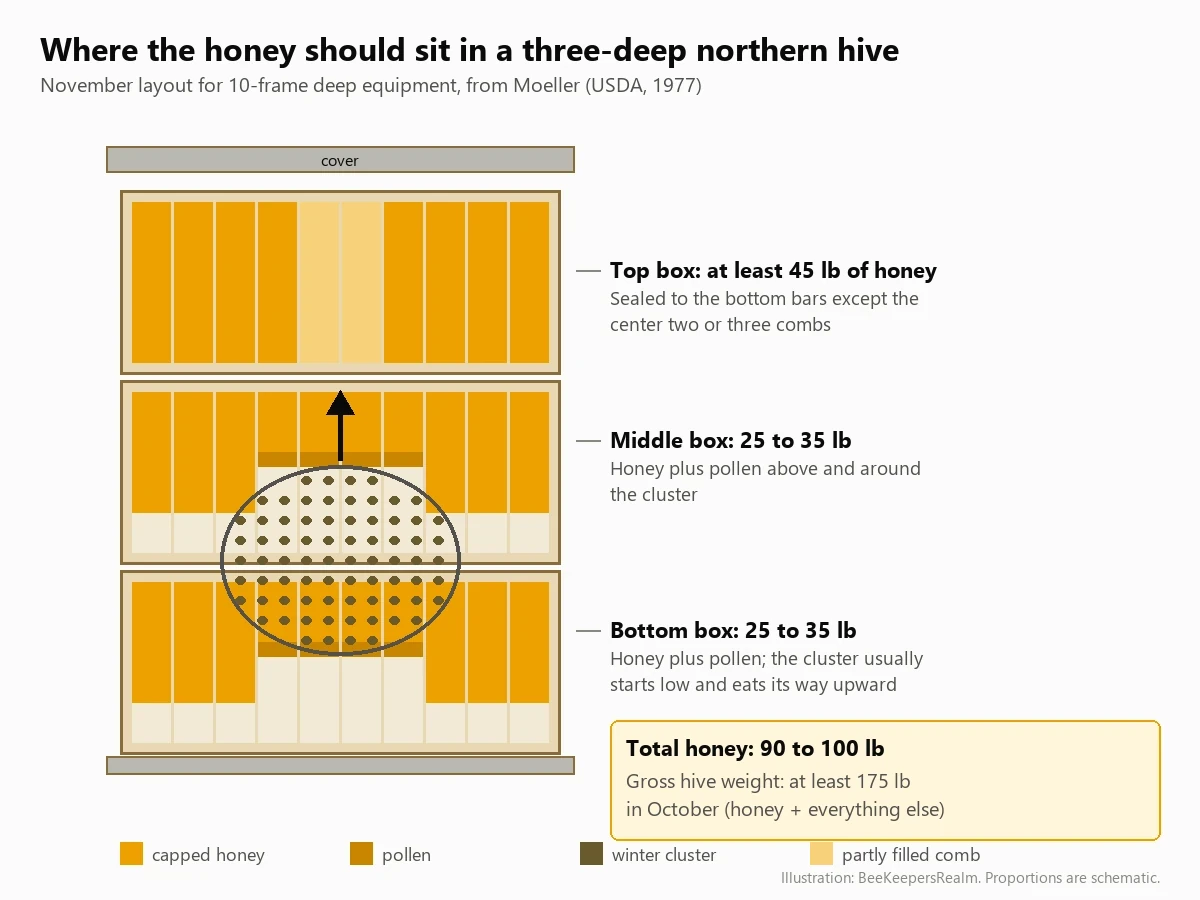Diagram of a three-deep hive in November showing the cluster in the lower boxes and about 45 pounds of honey in the top box