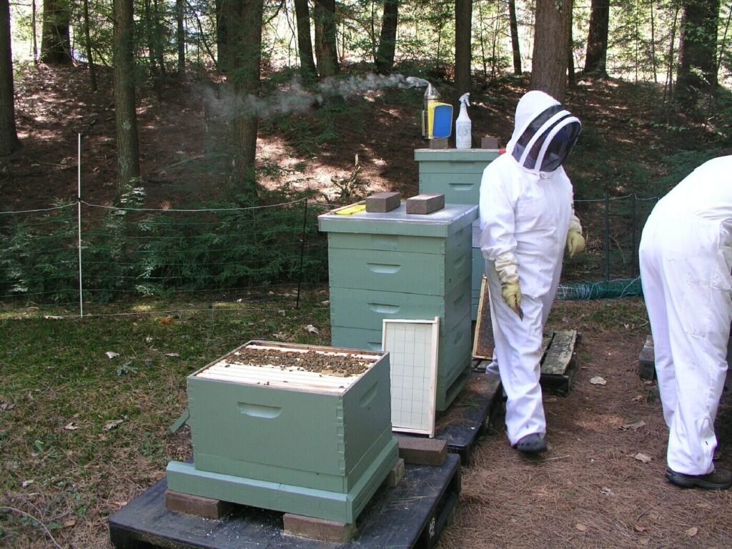 Two suited technicians servicing green hive boxes with a smoker during a scheduled visit