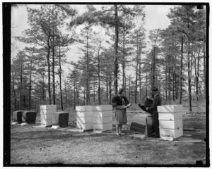 1939 photo of USDA beekeepers inspecting hives at Beltsville lab