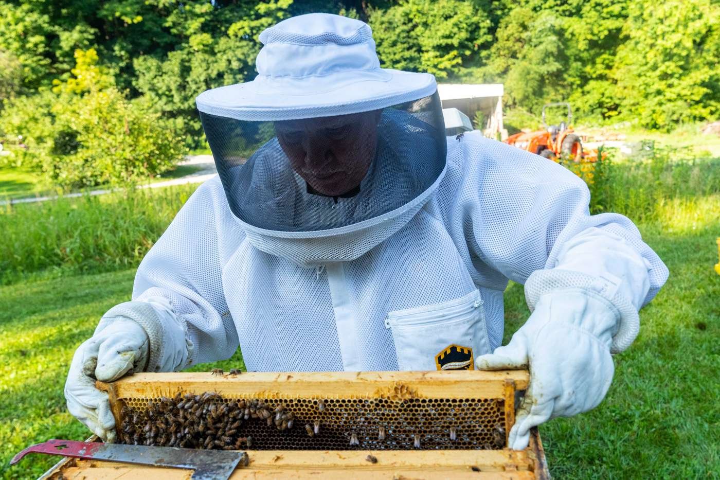 A beekeeper in protective gear tending a hive, representing the kind of beekeeping operation that can enroll colonies under USDA's Apiculture Rainfall Index insurance program