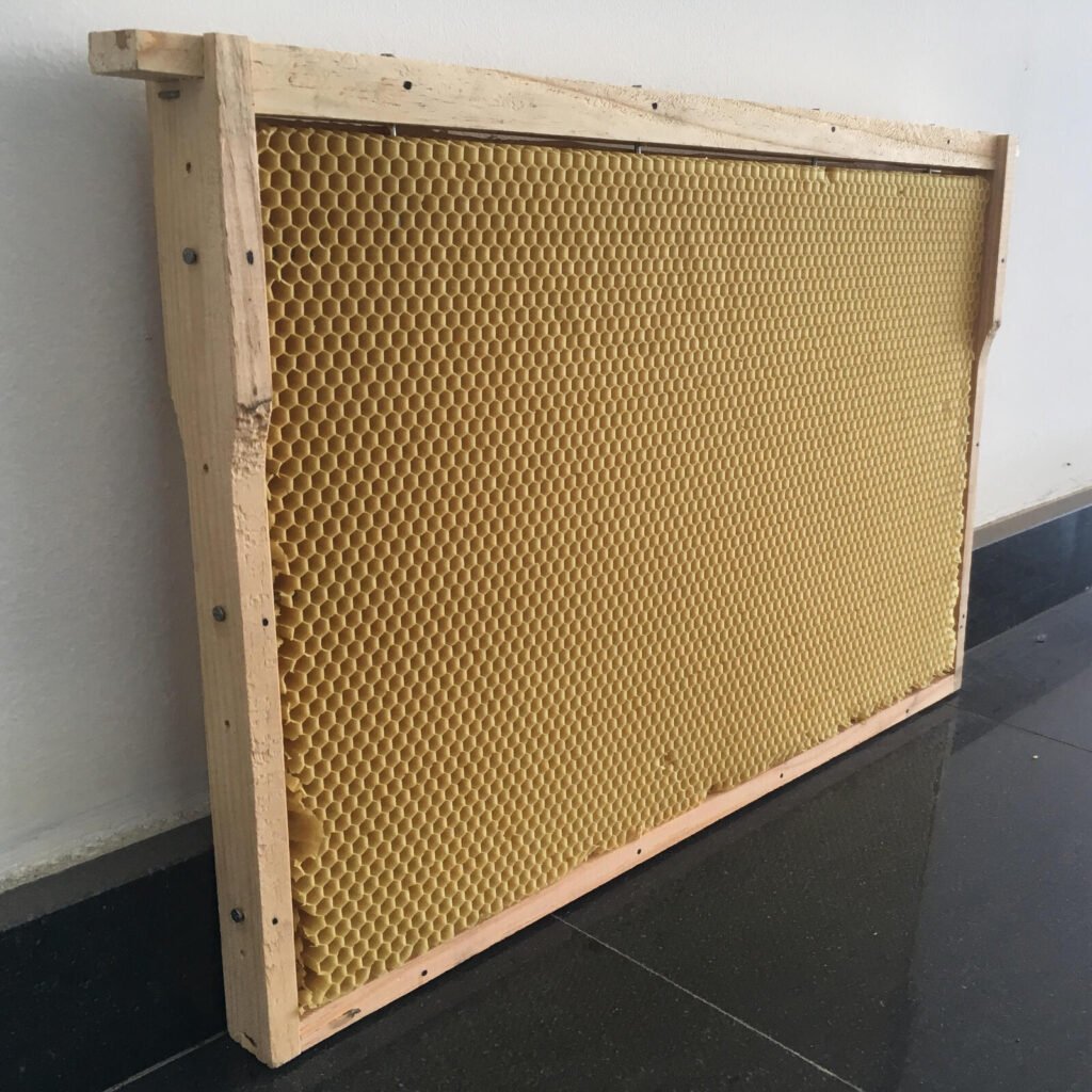 Blank wax foundation sheet mounted in a wooden hive frame, ready for installation