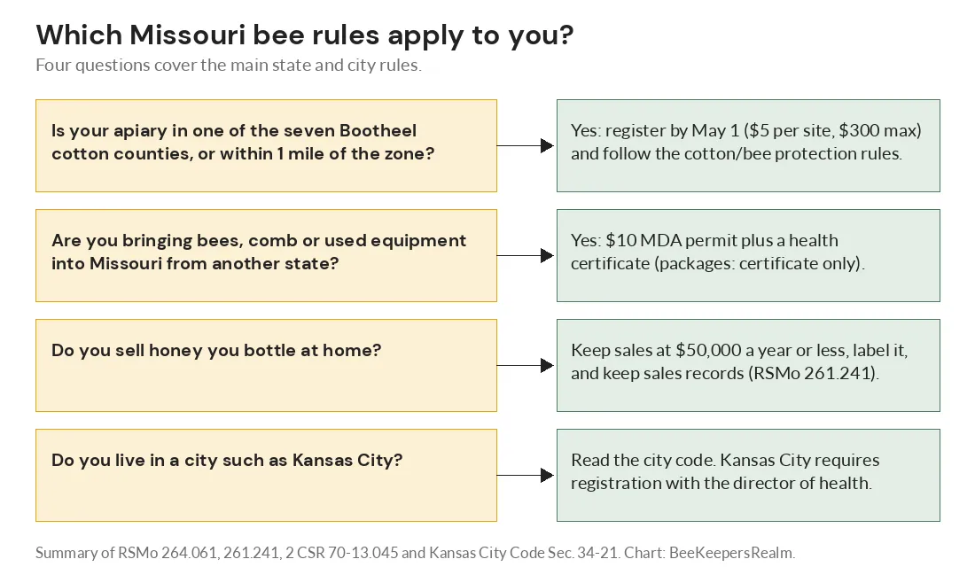 Chart of four questions showing when Missouri beekeepers must register, get a permit, follow honey rules or check city code