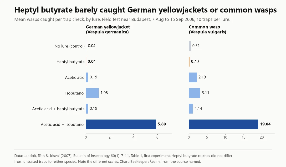 Bar chart: acetic acid plus isobutanol lures caught far more German yellowjackets and common wasps than heptyl butyrate