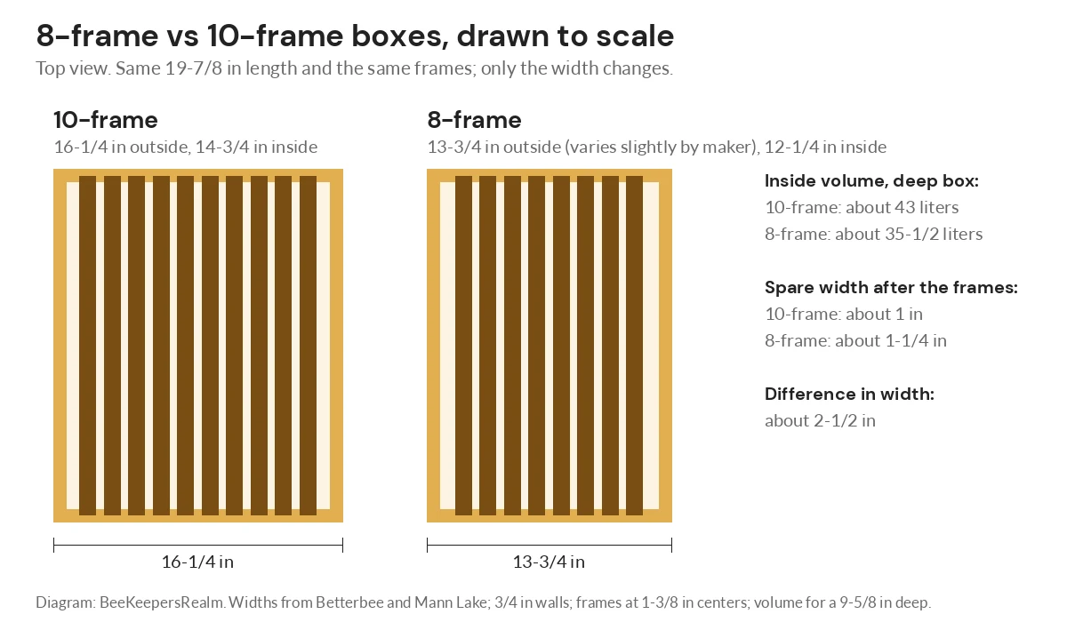 To-scale diagram comparing an 8-frame and a 10-frame Langstroth box from above, with widths and frame positions