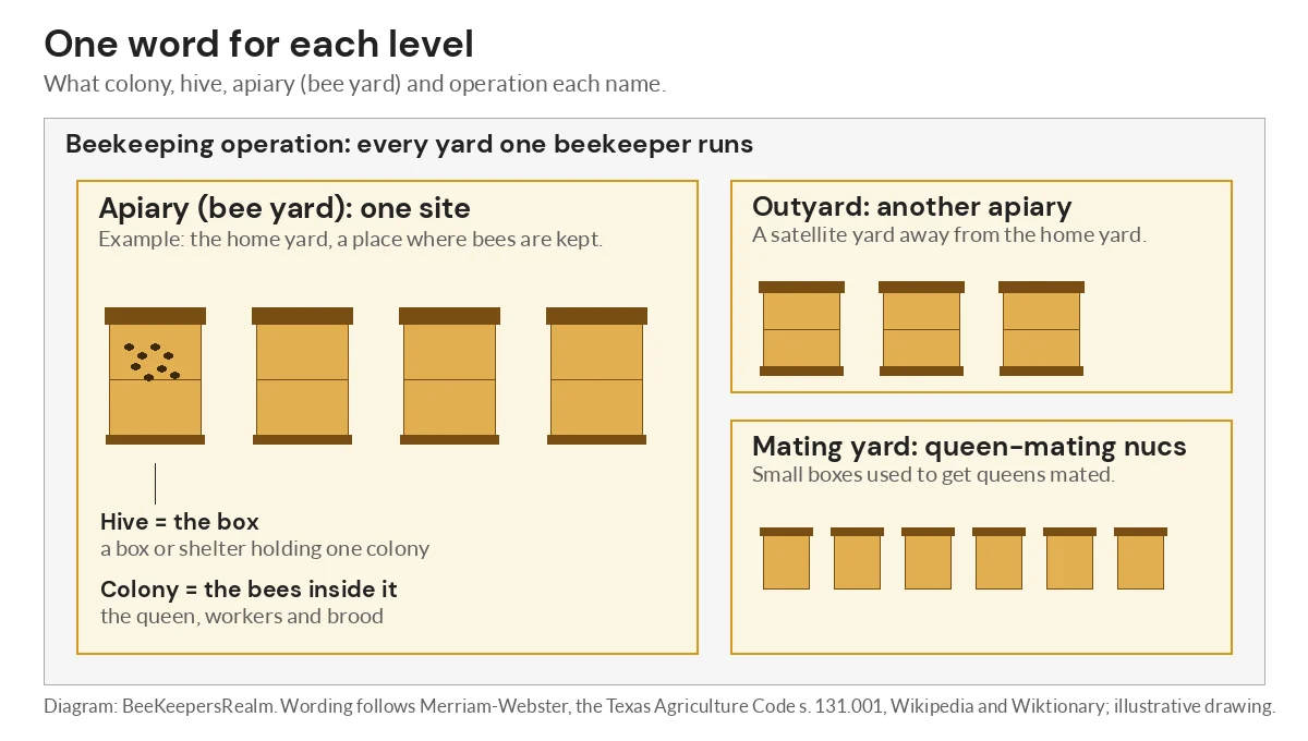 Diagram showing one beekeeping operation containing a home apiary of four hives, an outyard and a queen mating yard