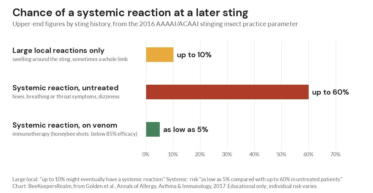 Bar chart of the chance of a systemic reaction at a later sting: up to 10%, up to 60% untreated, as low as 5% on immunotherapy