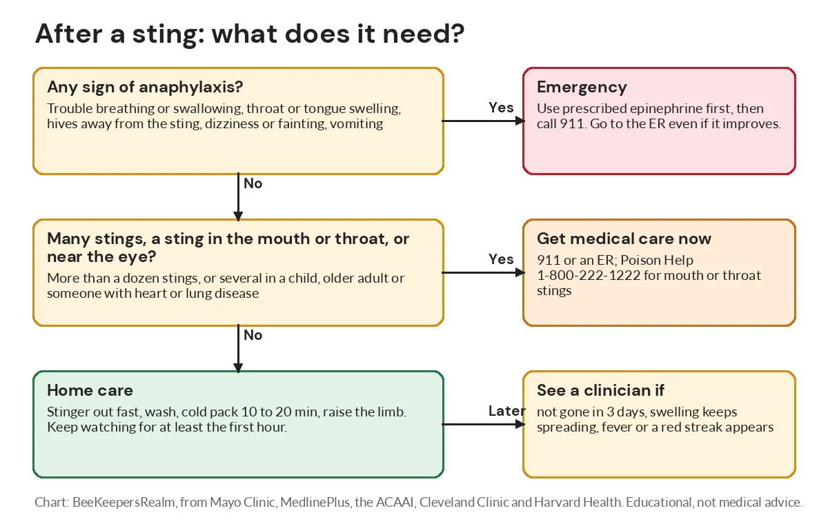 Flowchart for deciding after a bee or wasp sting whether to use epinephrine and call 911, seek care, or treat at home