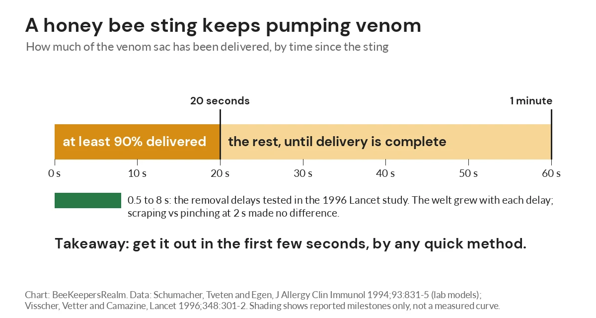 Timeline chart showing at least 90 percent of honey bee venom delivered within 20 seconds and all of it within one minute