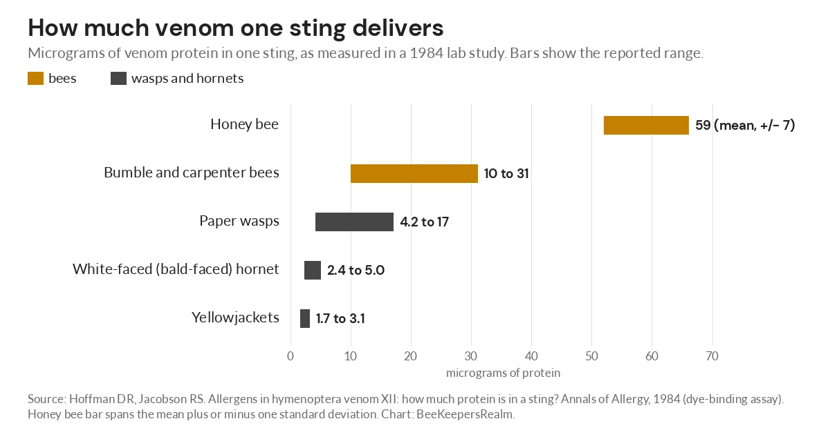 Bar chart comparing venom protein per sting: honey bee 59 micrograms versus 1.7 to 17 for wasps and hornets