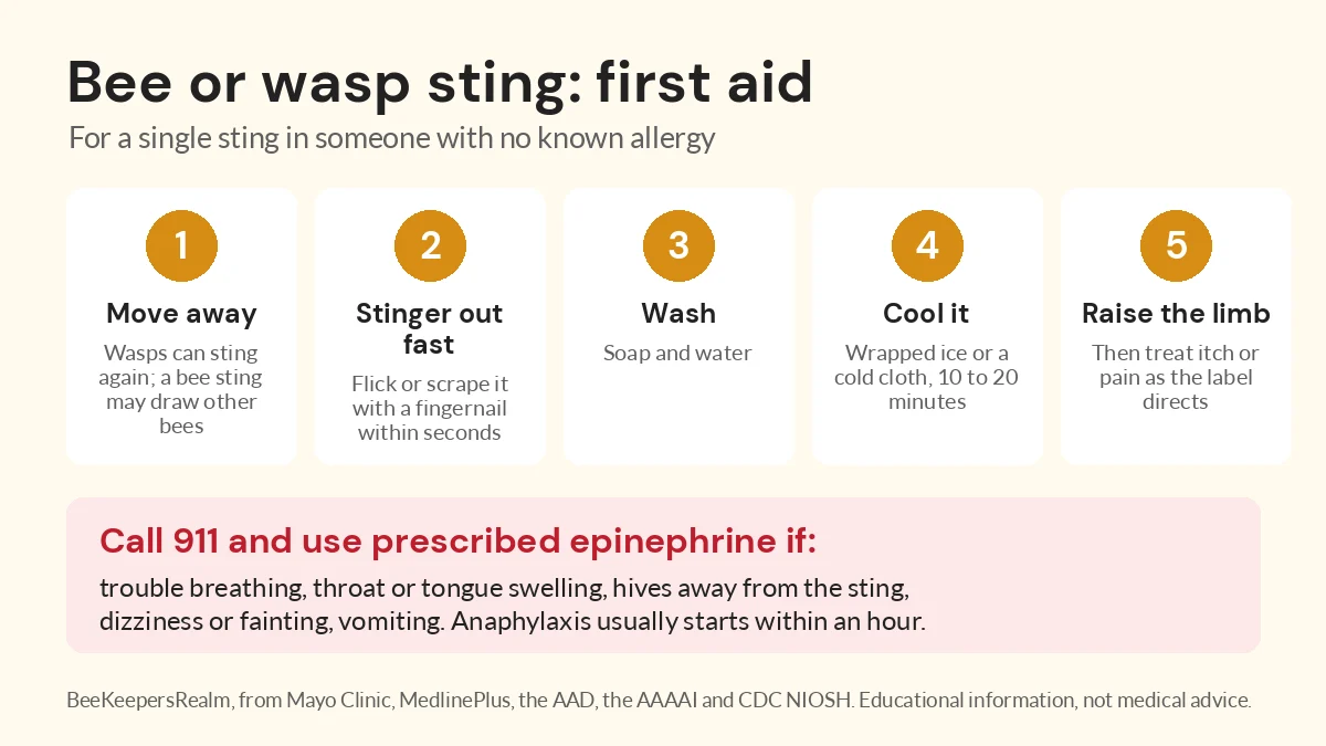 Infographic of five first-aid steps for a bee or wasp sting, with a red box listing anaphylaxis signs that mean call 911