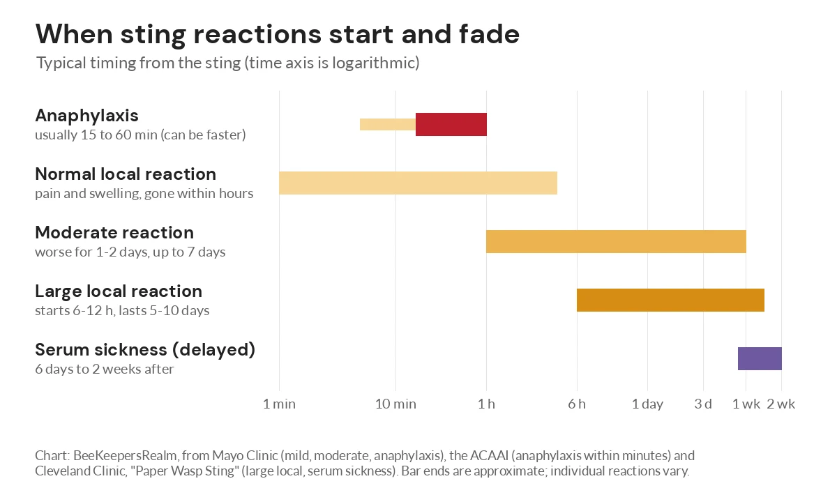 Chart of when sting reactions start and fade, from anaphylaxis within an hour to delayed reactions up to two weeks