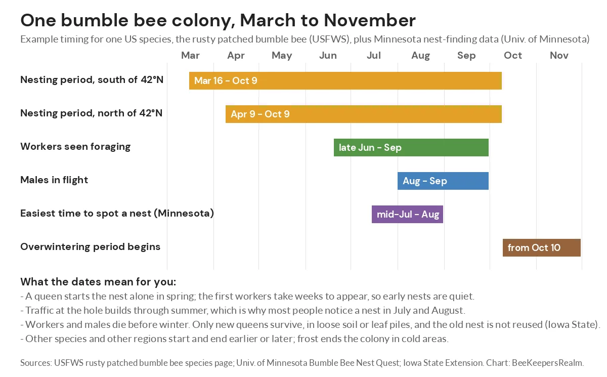 Bar chart of a bumble bee colony season, March to November, with nesting periods north and south of 42 degrees latitude