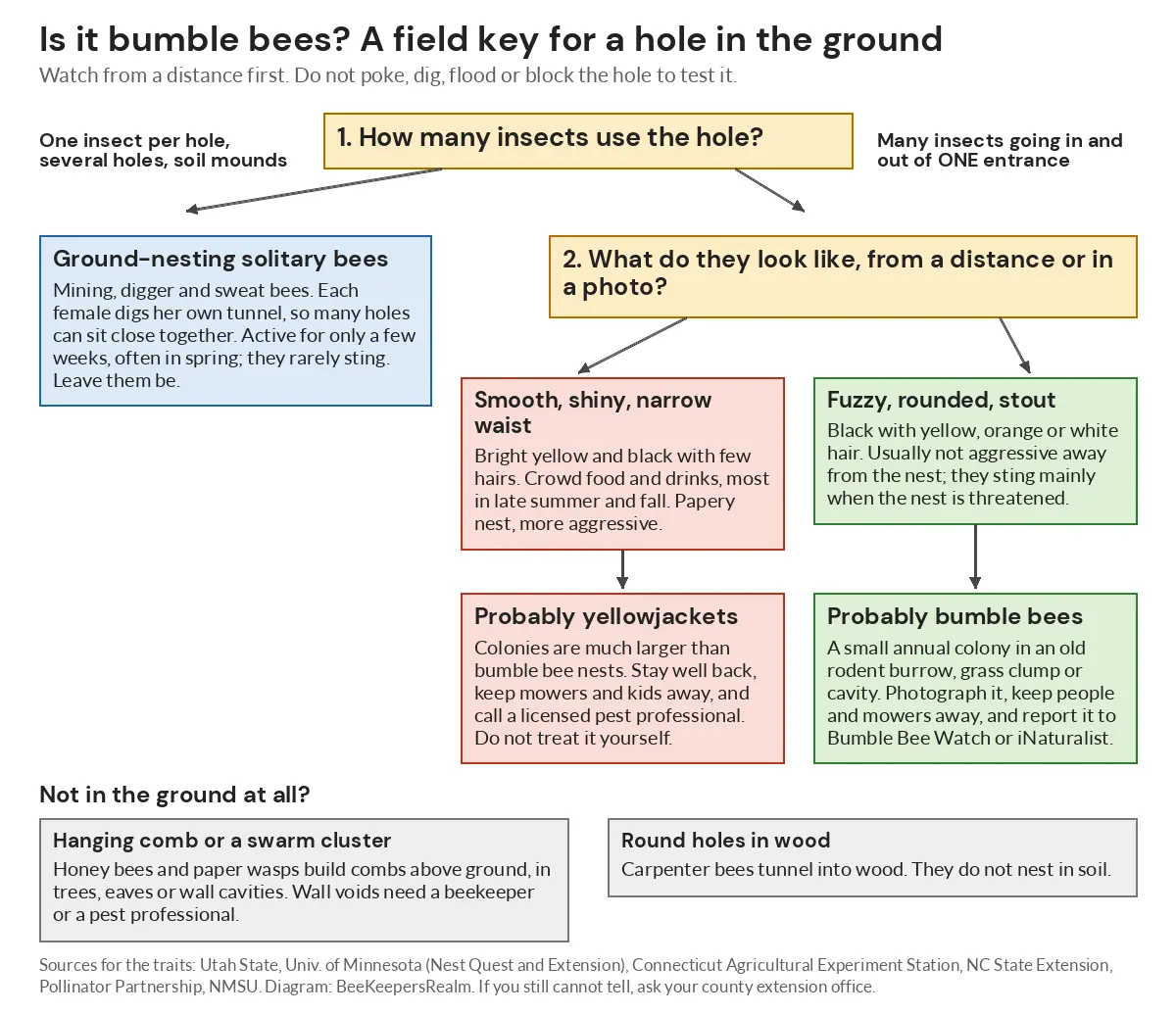 Flowchart key separating bumble bee ground nests from yellowjackets and solitary ground bees by traffic and body shape