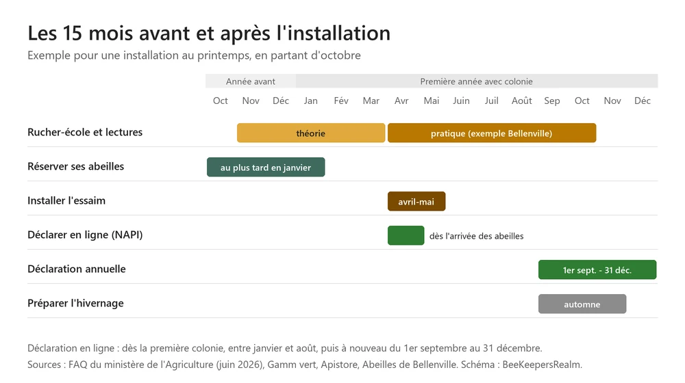 Calendrier de 15 mois pour débuter en apiculture : formation, réservation des abeilles, installation et déclaration