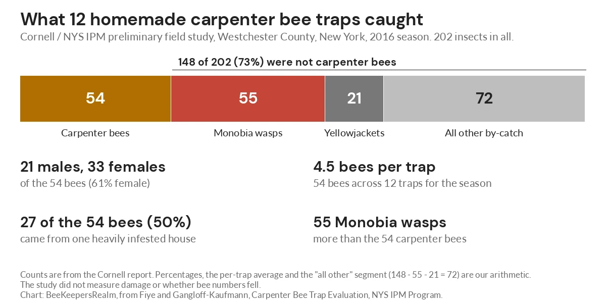 Bar showing 54 carpenter bees among 202 insects caught by 12 homemade traps, most were other insects