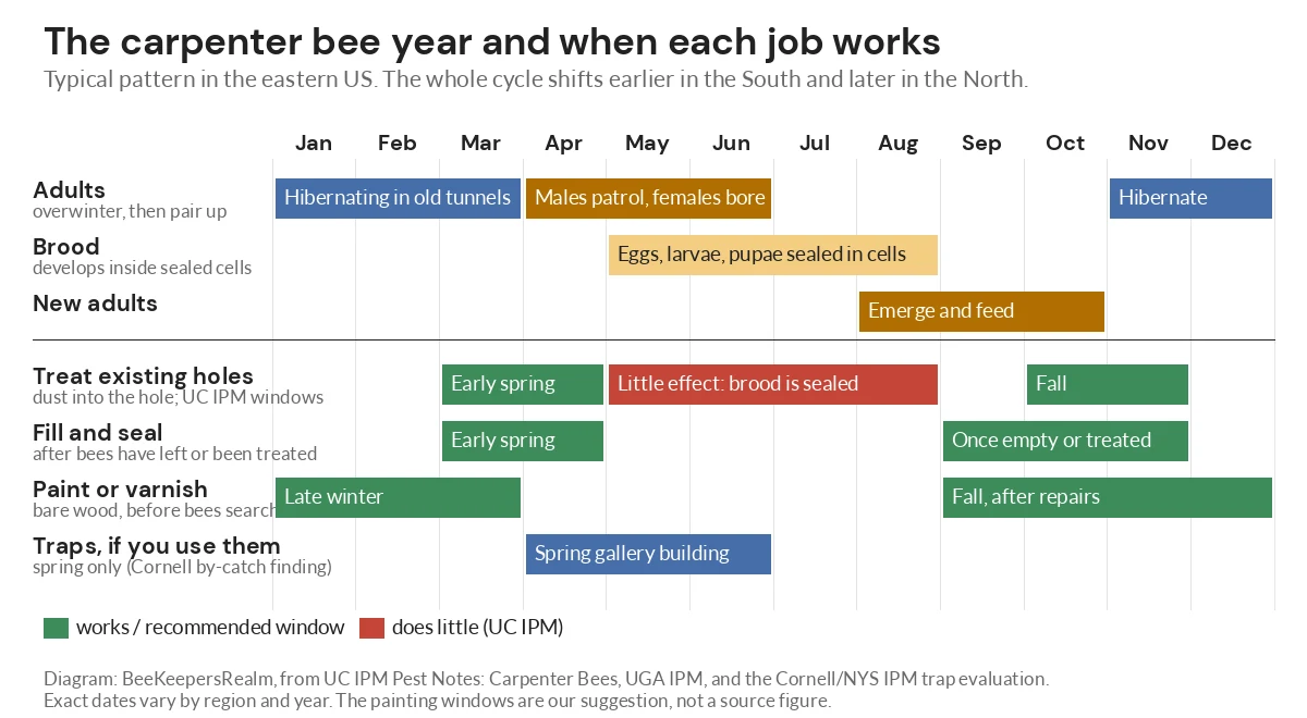 Month-by-month chart of the carpenter bee year showing when treating, sealing and painting holes works