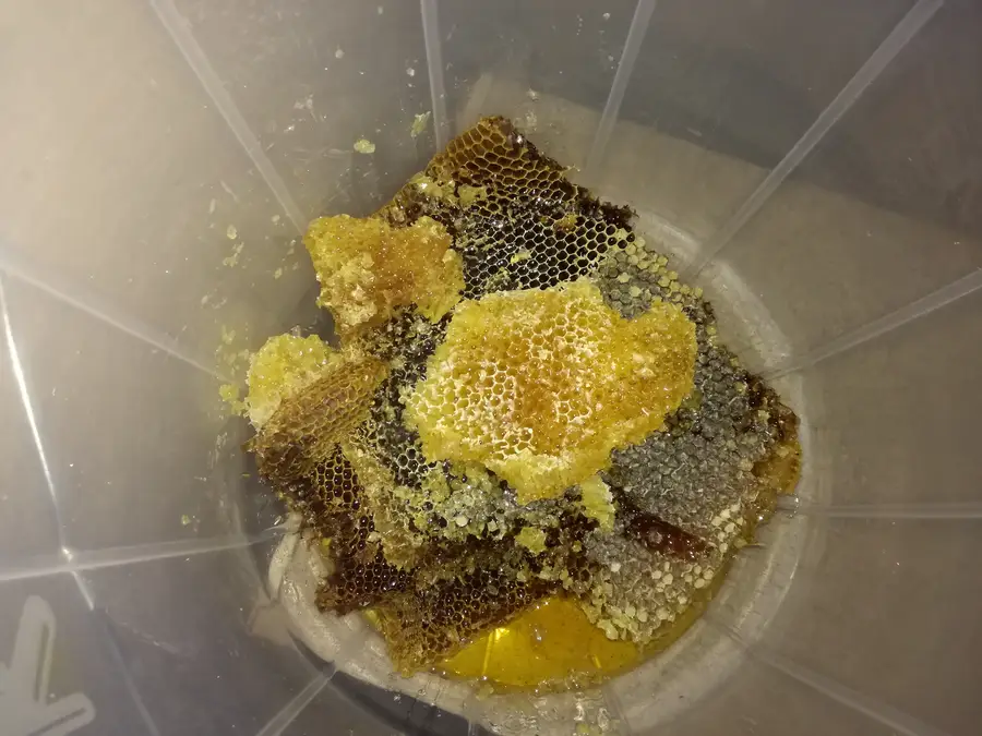Broken pieces of capped honeycomb from a top-bar hive piled in a plastic bucket with liquid honey pooling at the bottom